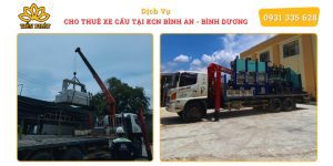 Dich vu cho thue xe cau tai KCN BInh An