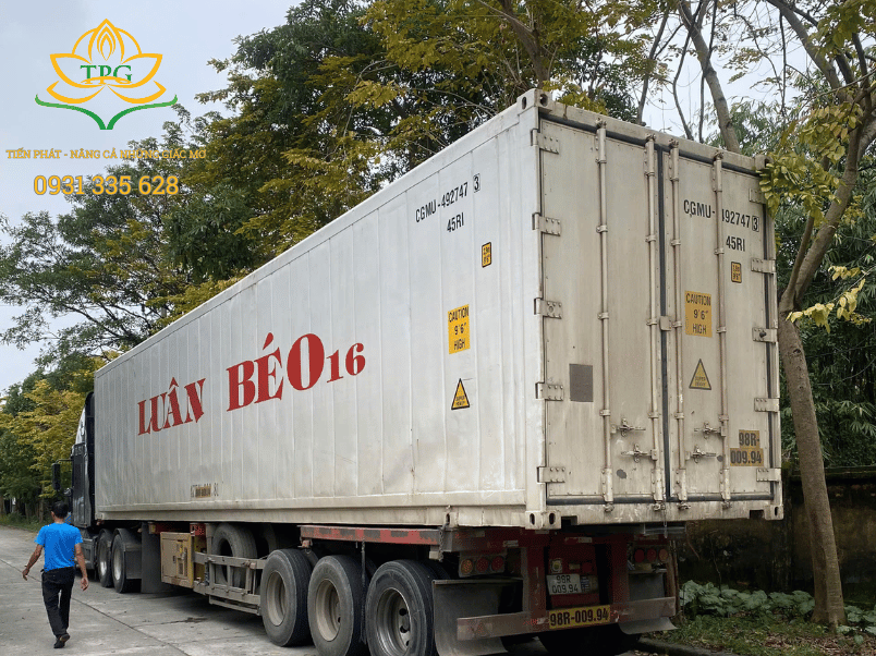 Container là gì? Thông tin đầy đủ, chi tiết về container